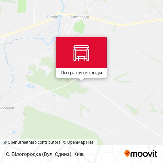 Карта С. Білогородка (Вул. Єдина)