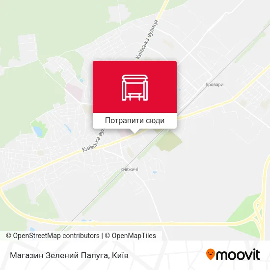 Карта Магазин Зелений Папуга