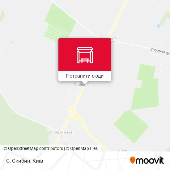 Карта С. Скибин