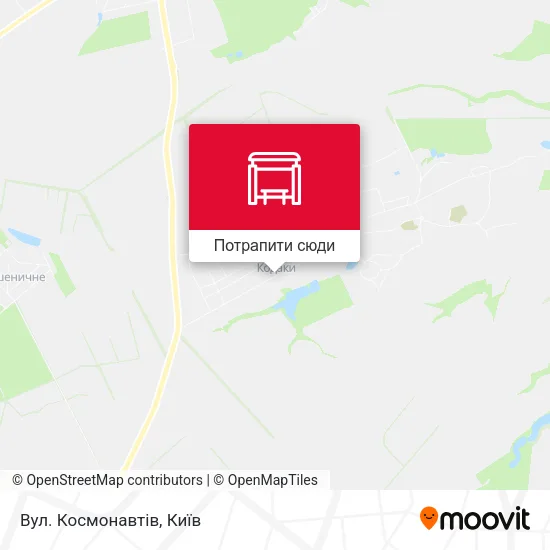 Карта Вул. Космонавтів