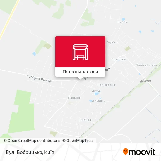 Карта Вул. Бобрицька