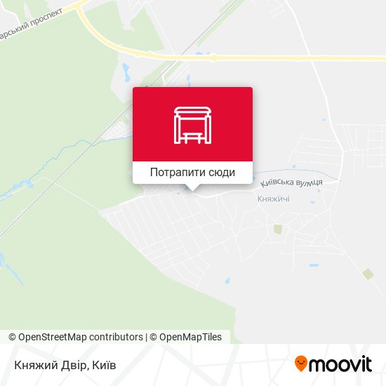 Карта Княжий Двір