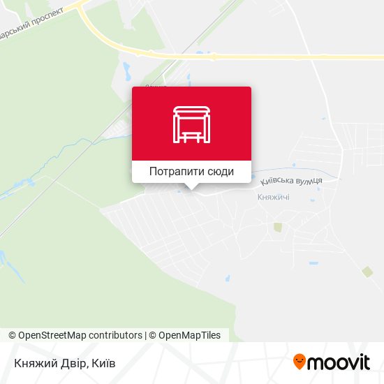 Карта Княжий Двір
