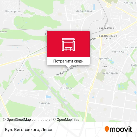 Карта Вул. Виговського