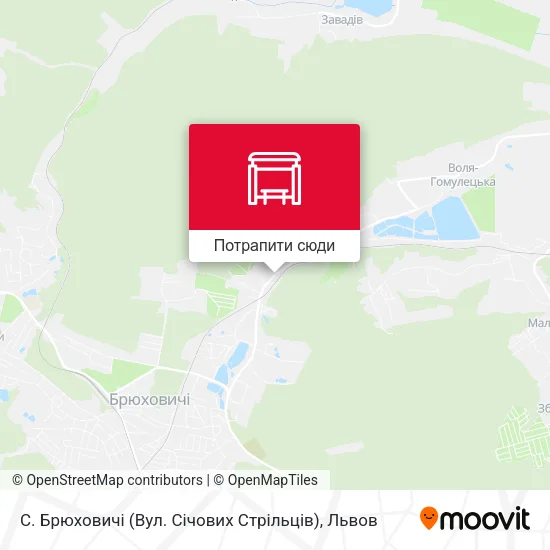 Карта С. Брюховичі (Вул. Січових Стрільців)