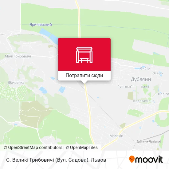Карта С. Великі Грибовичі (Вул. Садова)