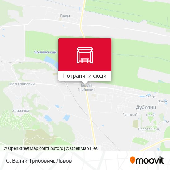 Карта С. Великі Грибовичі