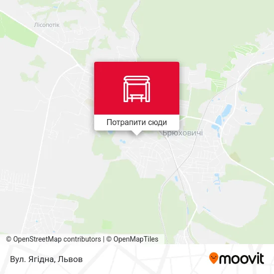 Карта Вул. Ягідна