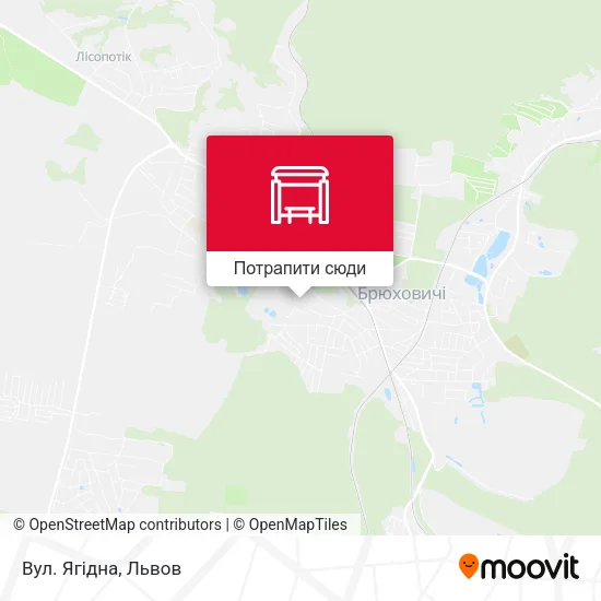 Карта Вул. Ягідна