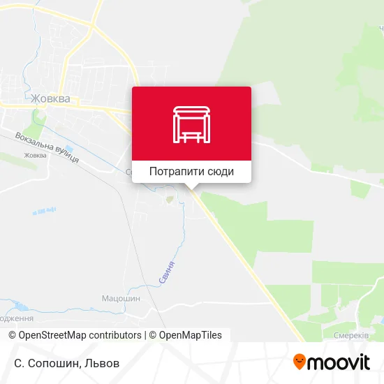 Карта С. Сопошин