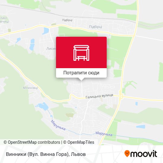 Карта Винники (Вул. Винна Гора)