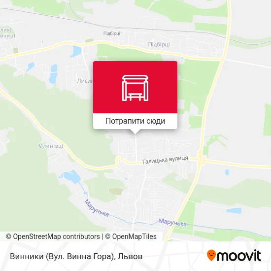 Карта Винники (Вул. Винна Гора)