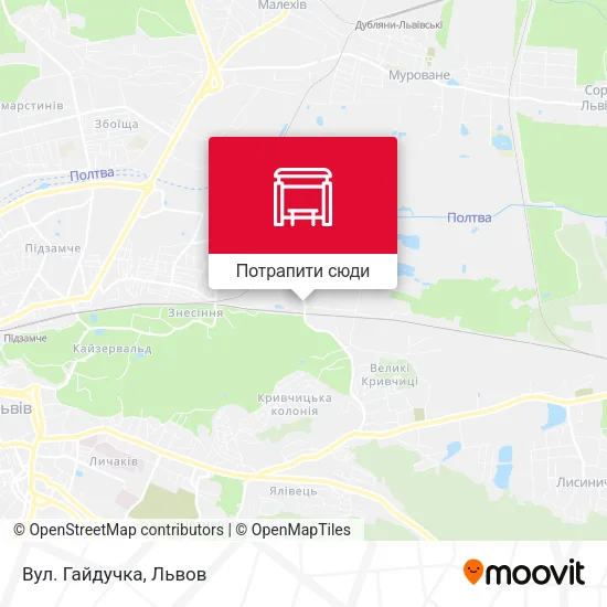 Карта Вул. Гайдучка