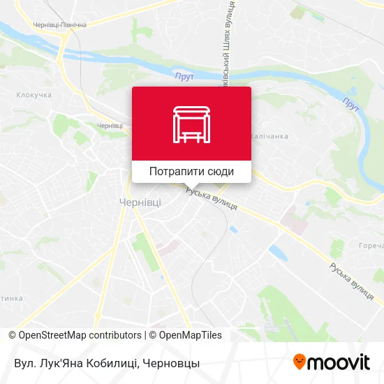 Карта Вул. Лук'Яна Кобилиці