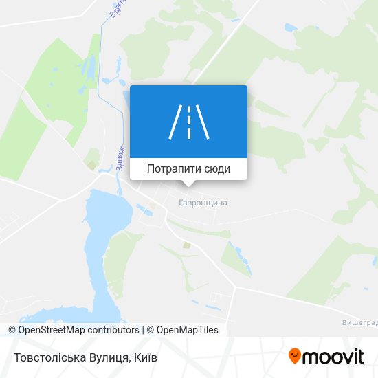 Карта Товстоліська Вулиця