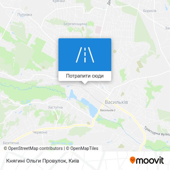 Карта Княгині Ольги Провулок