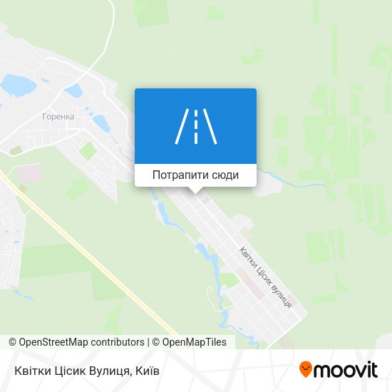 Карта Квітки Цісик Вулиця