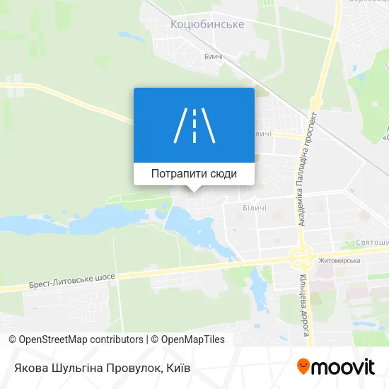 Карта Якова Шульгіна Провулок