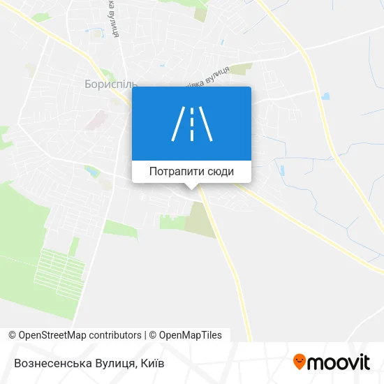Карта Вознесенська Вулиця