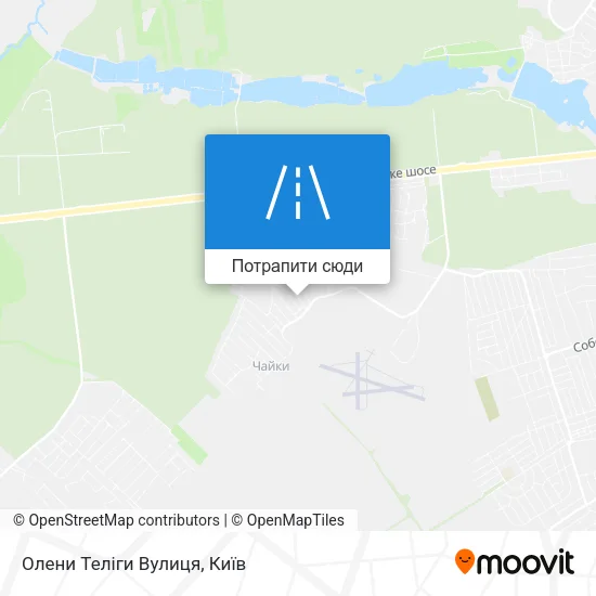Карта Олени Теліги Вулиця