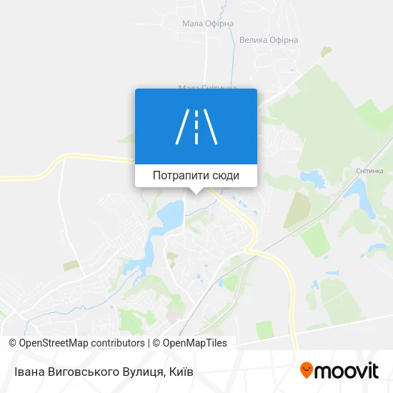 Карта Івана Виговського Вулиця