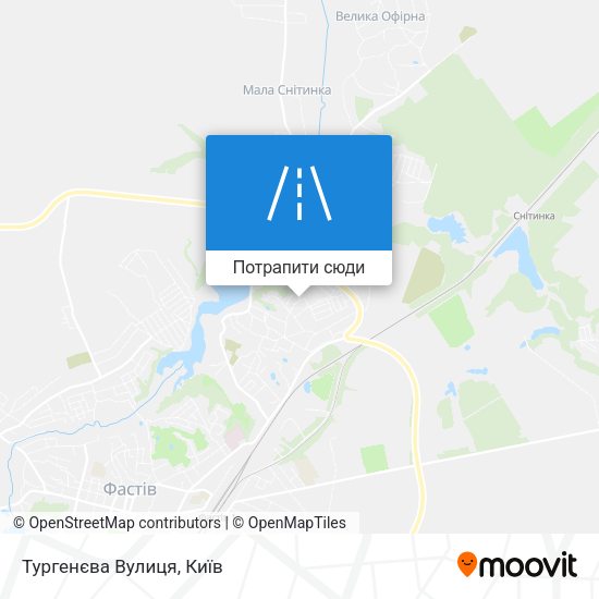 Карта Тургенєва Вулиця