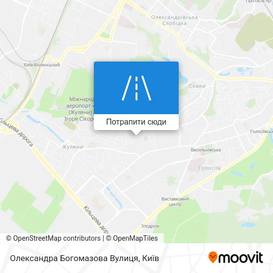 Карта Олександра Богомазова Вулиця