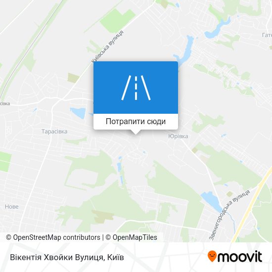 Карта Вікентія Хвойки Вулиця
