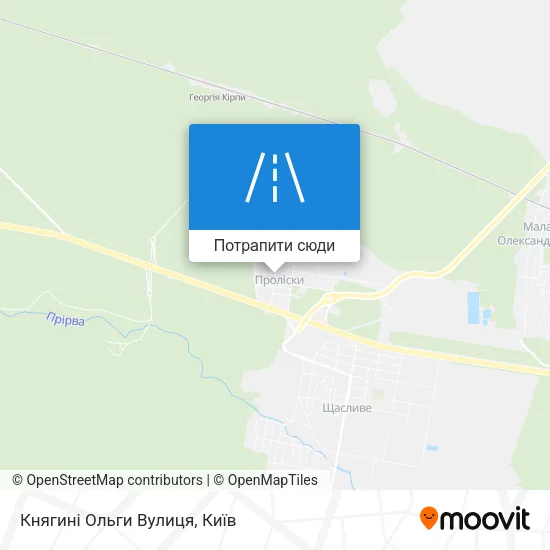 Карта Княгині Ольги Вулиця