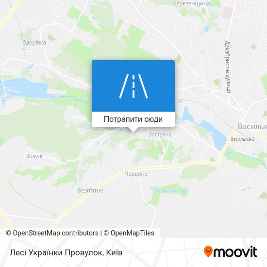 Карта Лесі Українки Провулок