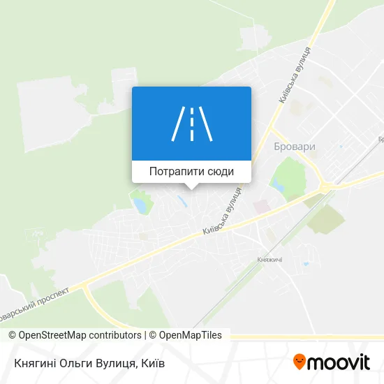Карта Княгині Ольги Вулиця