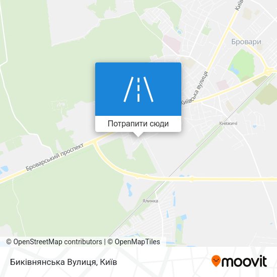 Карта Биківнянська Вулиця