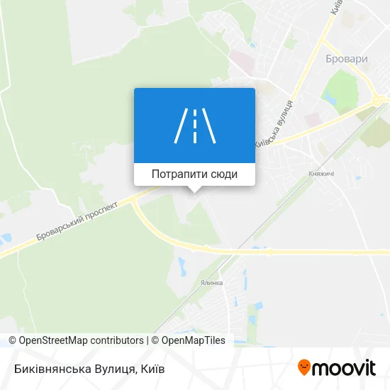 Карта Биківнянська Вулиця