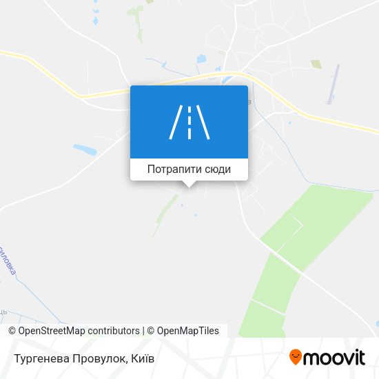 Карта Тургенева Провулок