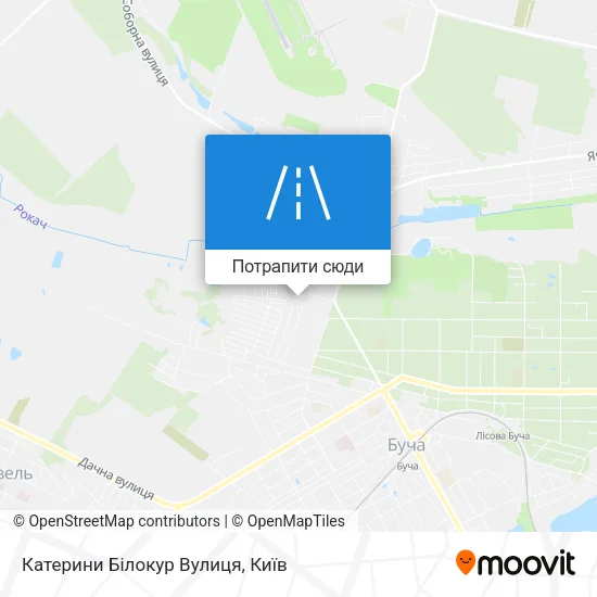 Карта Катерини Білокур Вулиця