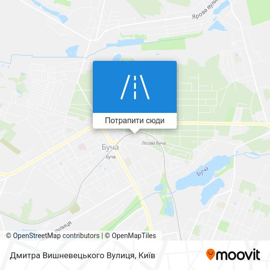 Карта Дмитра Вишневецького Вулиця