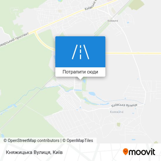 Карта Княжицька Вулиця