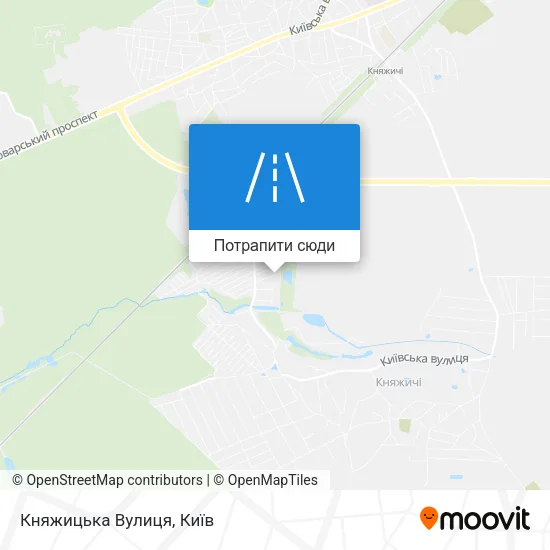 Карта Княжицька Вулиця