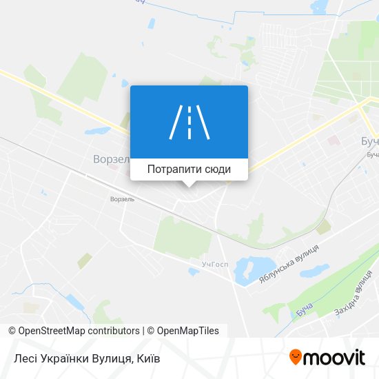 Карта Лесі Українки Вулиця