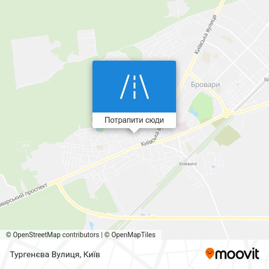 Карта Тургенєва Вулиця