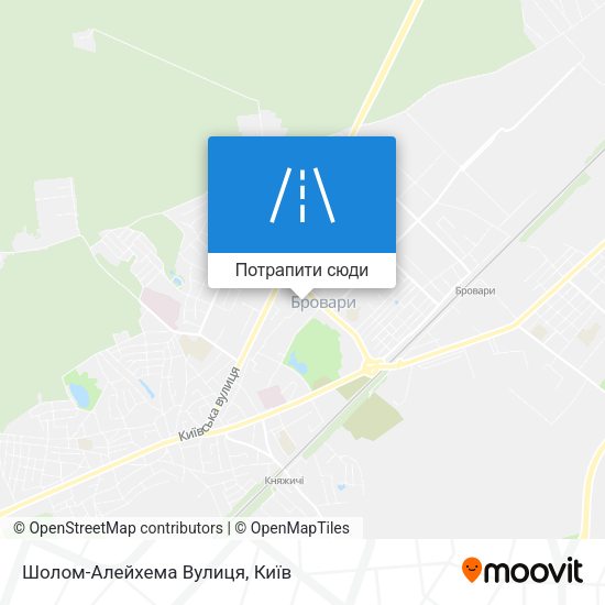 Карта Шолом-Алейхема Вулиця
