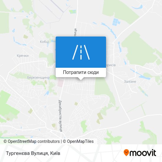 Карта Тургенєва Вулиця
