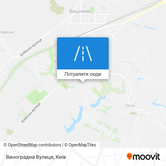 Карта Виноградна Вулиця
