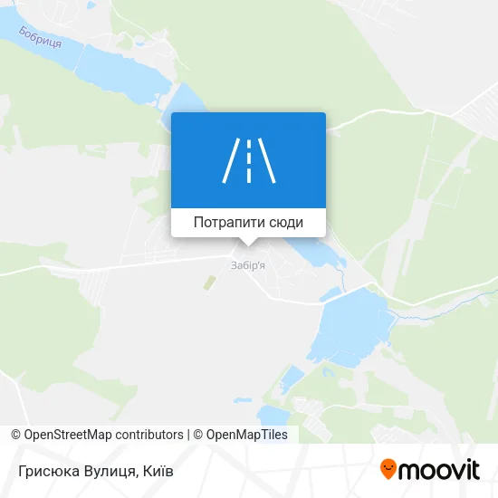 Карта Грисюка Вулиця