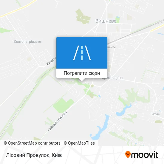 Карта Лісовий Провулок