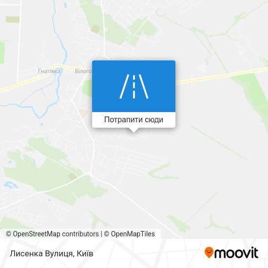 Карта Лисенка Вулиця