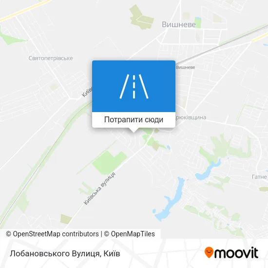 Карта Лобановського Вулиця
