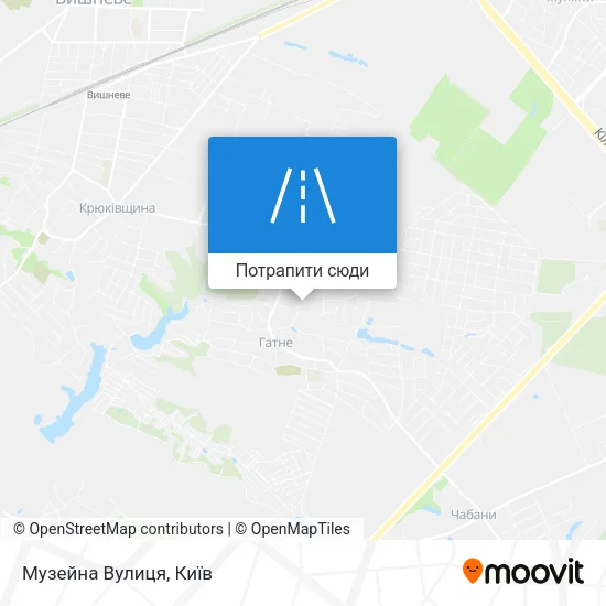 Карта Музейна Вулиця