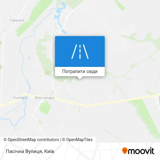 Карта Пасічна Вулиця