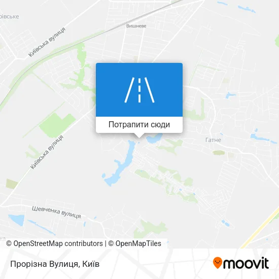 Карта Прорізна Вулиця